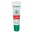 Himalaya lip bam