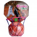 Indoor basketball set